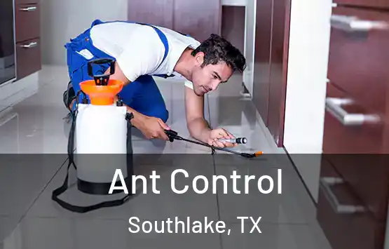  Ant Control Southlake, TX