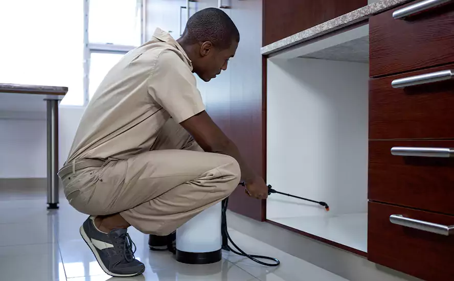 Top-Notch Pest Control in Southlake