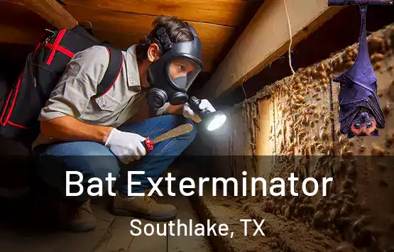  Bat Exterminator Southlake, TX