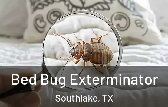  Bed Bug Exterminator Southlake, TX