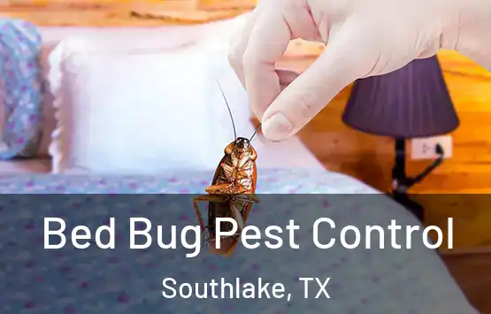  Bed Bug Pest Control Southlake, TX