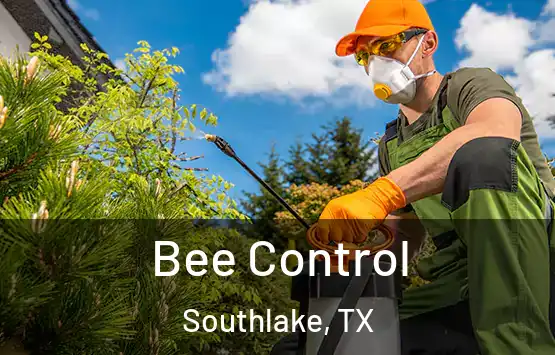  Bee Control Southlake, TX
