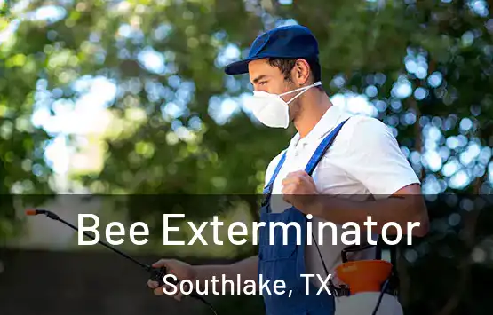  Bee Exterminator Southlake, TX
