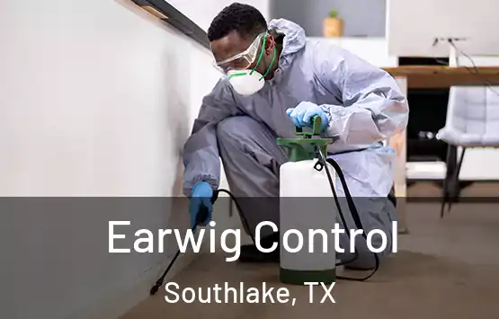  Earwig Control Southlake, TX