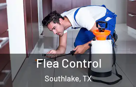  Flea Control Southlake, TX