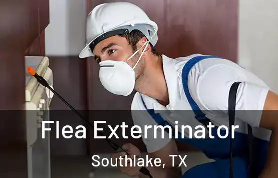  Flea Exterminator Southlake, TX