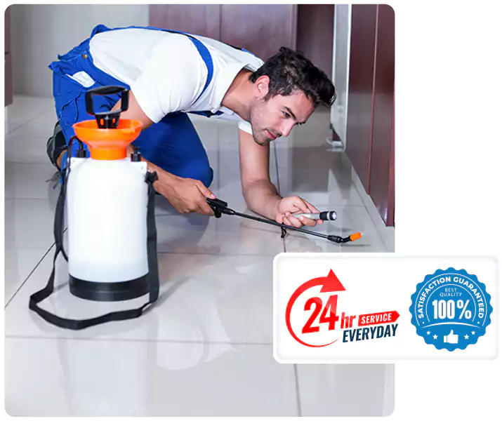 Year-Round Pest Prevention Plans in Southlake