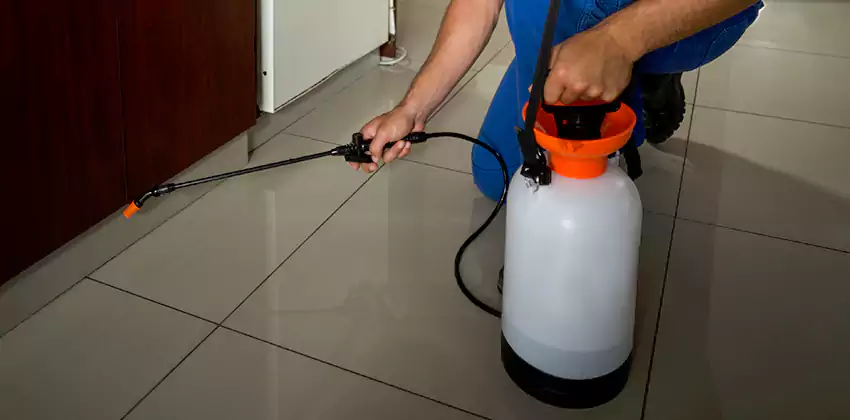 anay-treatment in Southlake, TX