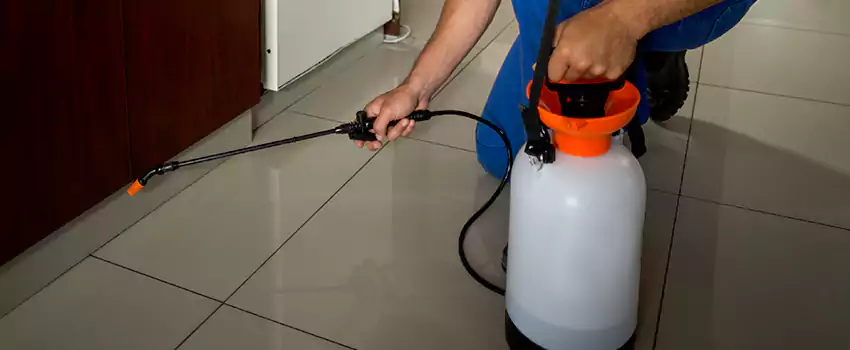 Prevent Future Roach Infestations Southlake, TX