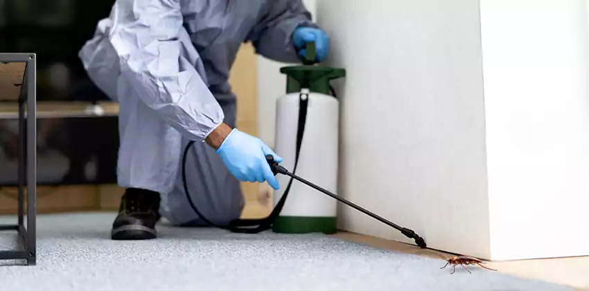 Commercial Pest Control for Offices in Southlake, TX