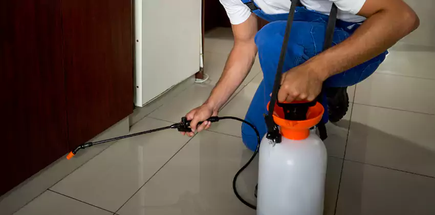 Commercial Flea Exterminator Company in Southlake, TX
