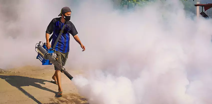 Bedrooms Mosquito Extermination in Southlake, TX