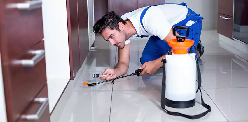 Protect Your Home with Our Pest Inspection Services Southlake, TX