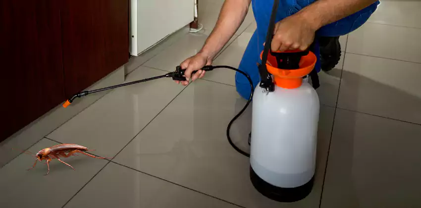 Exclusion and Sanitation Consultation in Southlake, TX