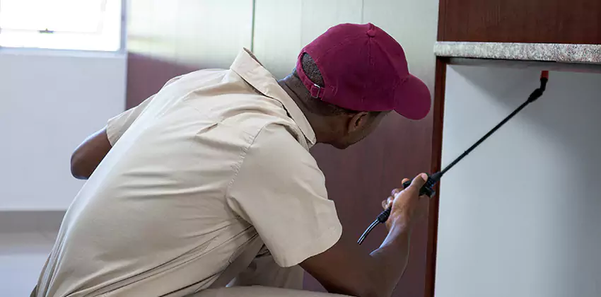 Children and pets extermination of termites Southlake, TX