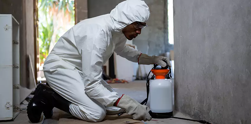 Termite Inspection for Bedrooms Southlake, TX