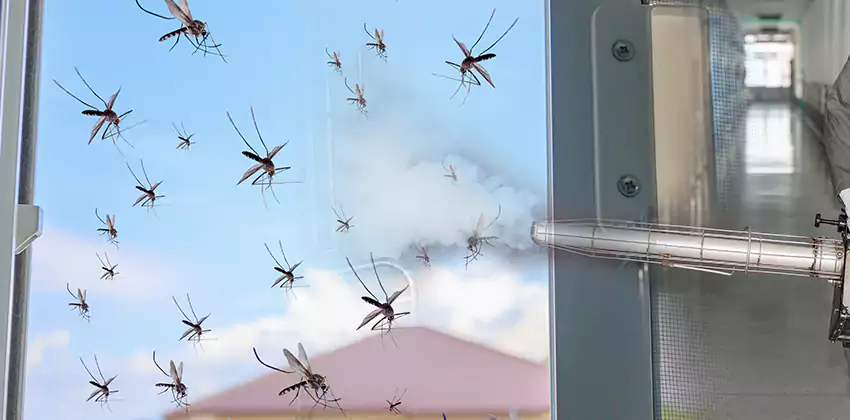 mosquito-treatment in Southlake, TX