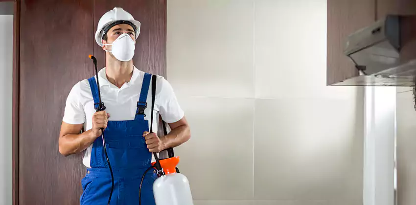 pest-inspection in Southlake, TX