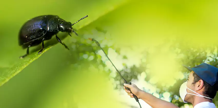 tick-control in Southlake, TX