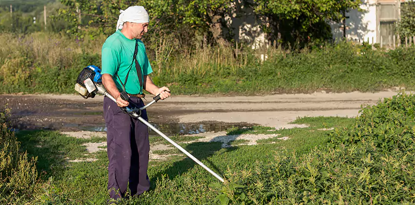 tick-treatment-for-yard in Southlake, TX