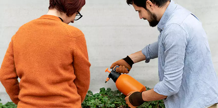 whitefly-treatment in Southlake, TX