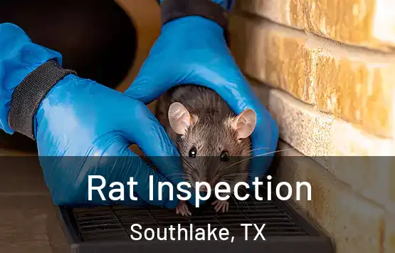  Rat Inspection Southlake, TX