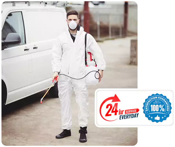 About Carpenter Bee Treatment Southlake