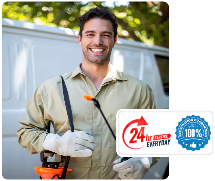 About Termite Exterminator Southlake