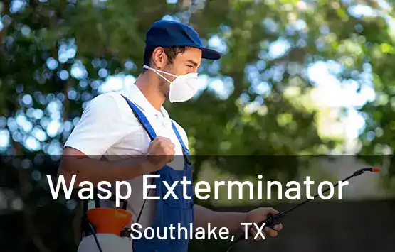  Wasp Exterminator Southlake, TX