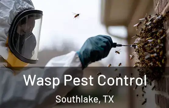  Wasp Pest Control Southlake, TX